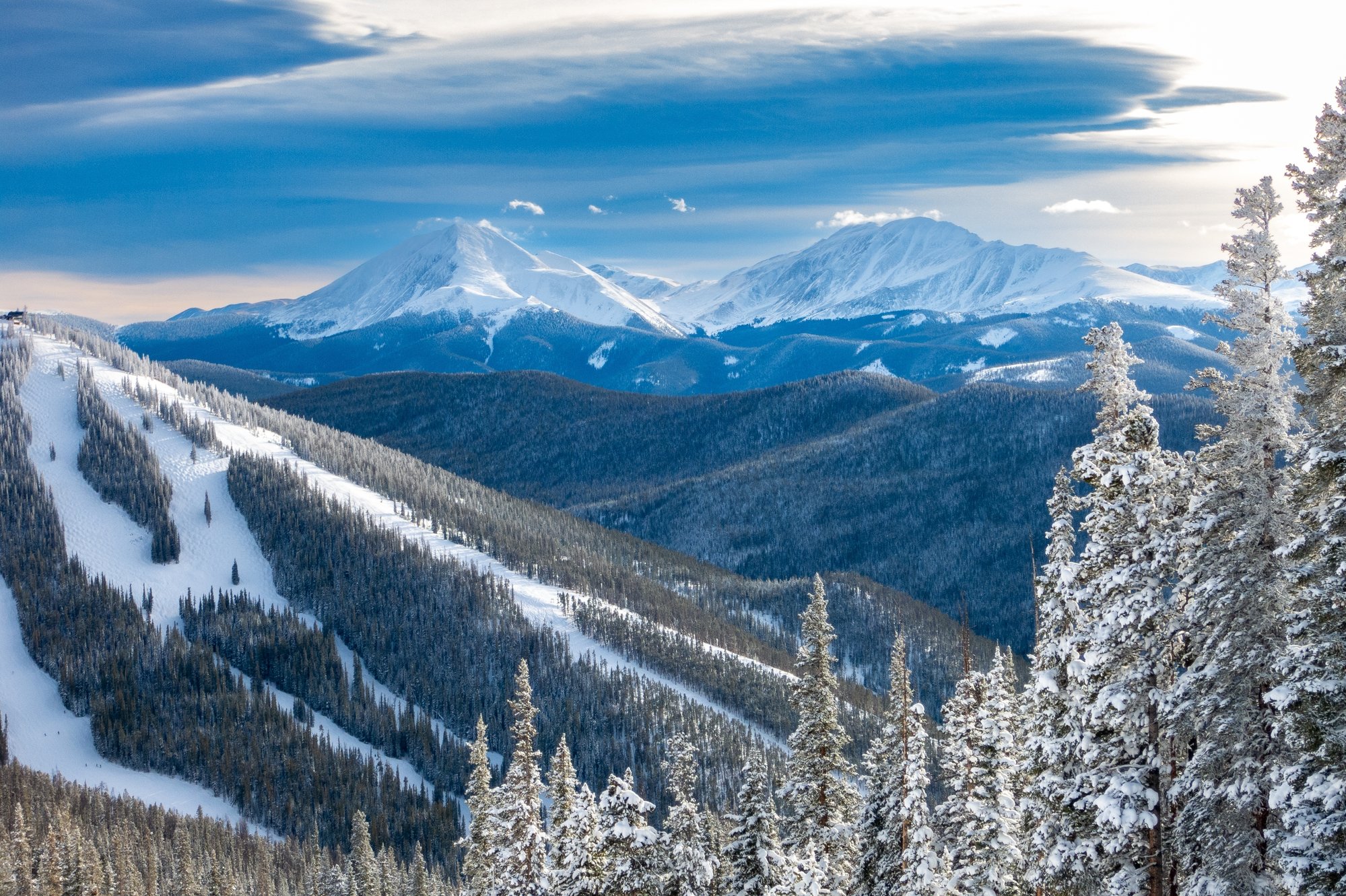 shutterstock_2584912343